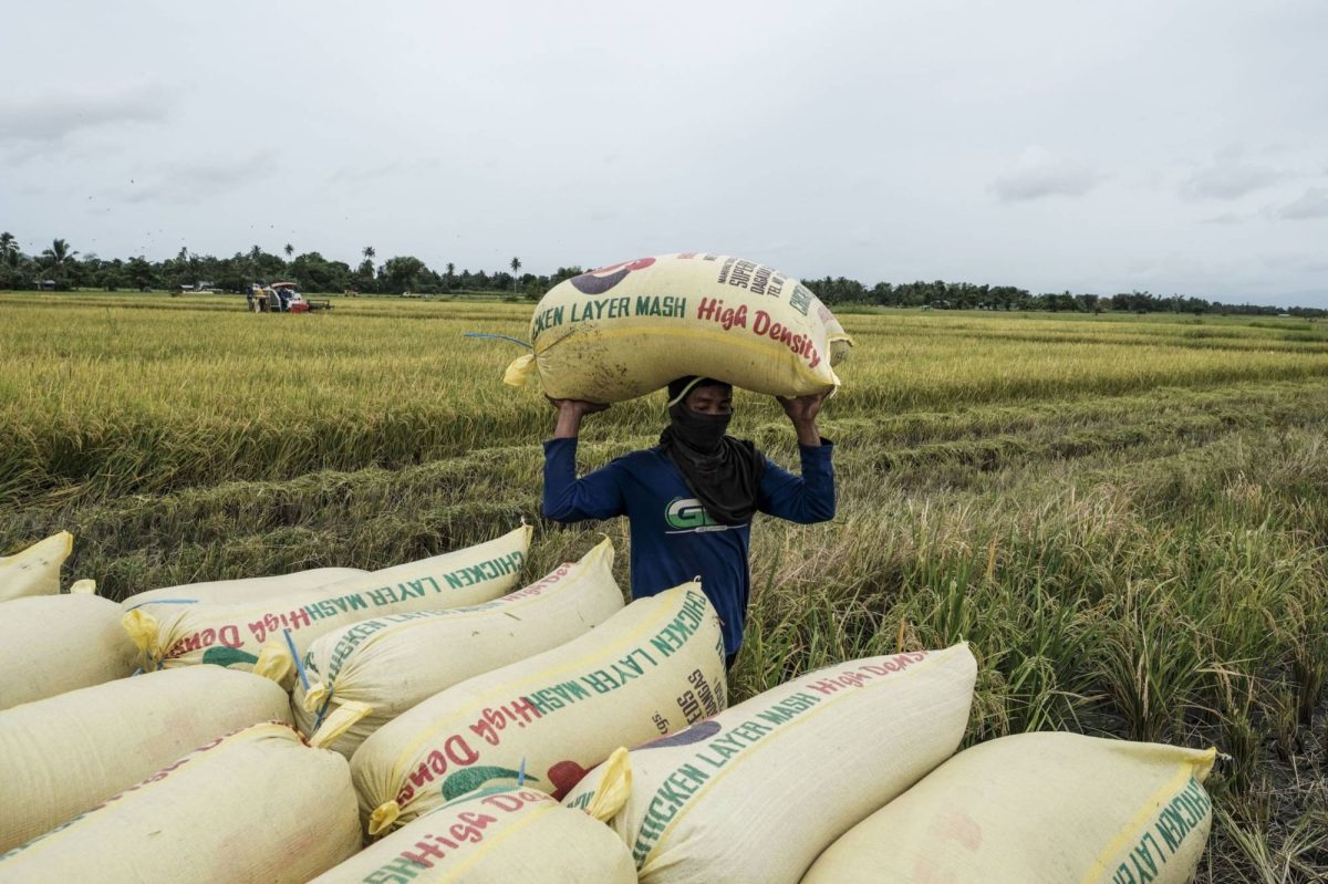 shortage of fertilizers in latin america as a result of the war in ukraine np file 156737