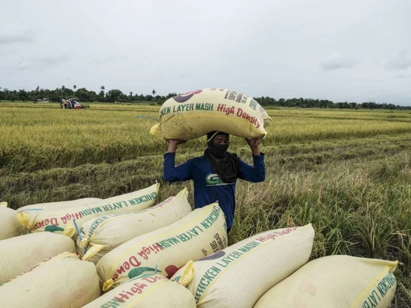 shortage of fertilizers in latin america as a result of the war in ukraine np file 156737