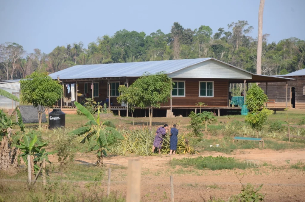 Mennonites are deforesting Peruvian and Colombian Amazon 3 mennonites are deforesting peruvian and colombian amazon menonitas 5 yvette sierra praeli