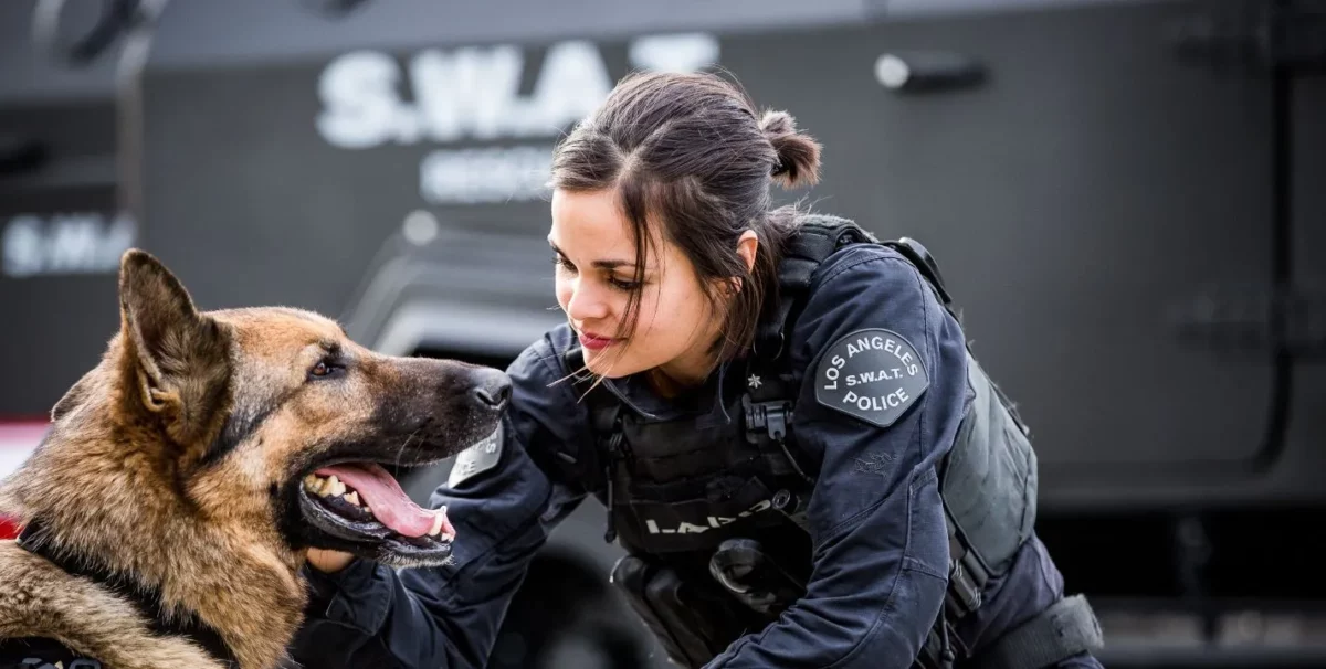 swat.jpg 2079317964