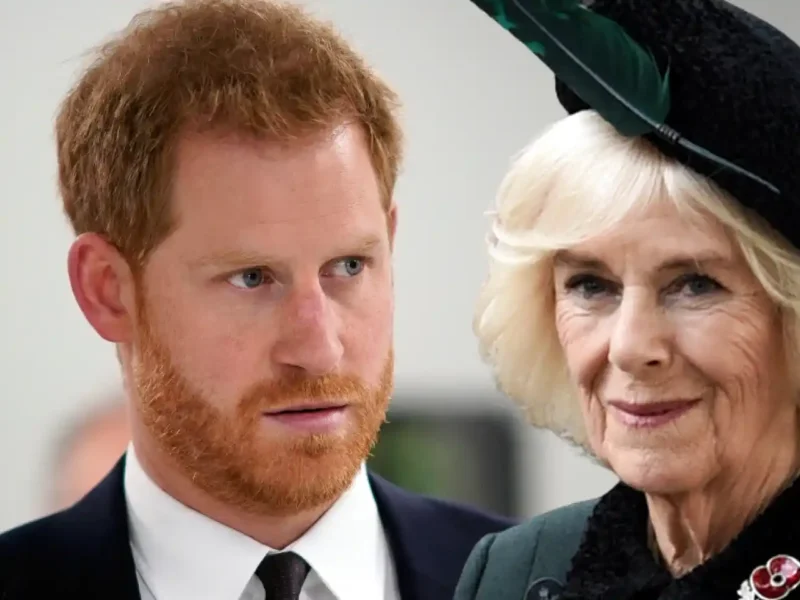 649945450 221837367 1706x960 1