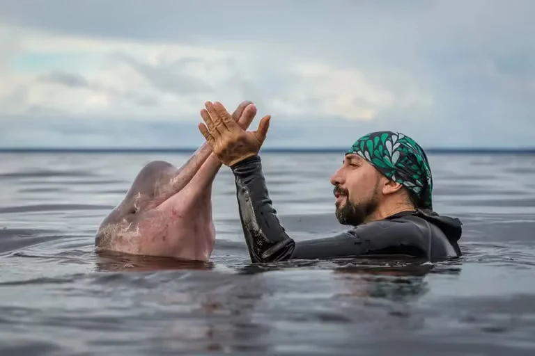 Colombian Biologist Named National Geographic Explorer of the Year 2024 14 colombian biologist named national geographic explorer of the year 2024