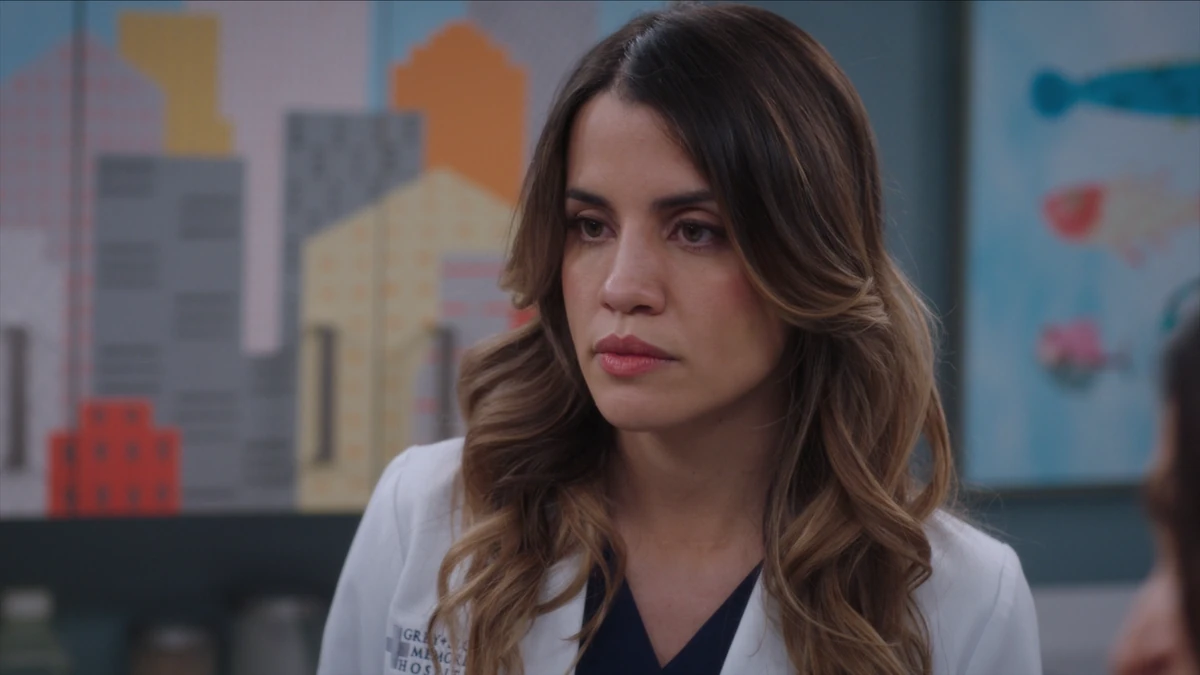 greys anatomy season 20 is monica beltran the new cristina yang