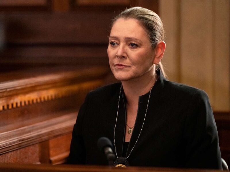 camryn manheim says goodbye to law amp order what happened to lieutenant dixon camryn manheim law and order 100424 1 293fc411230f46ae87af4685ccb64990