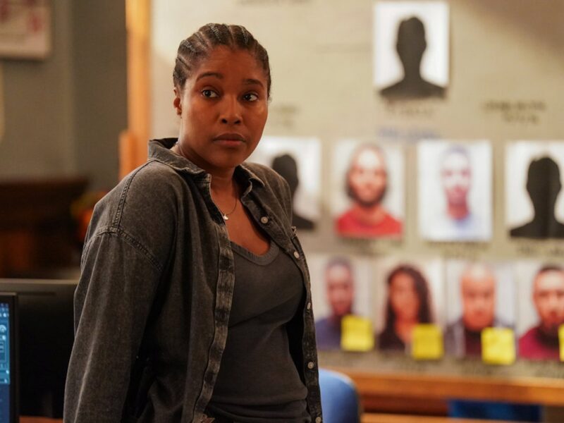 why chicago pds new recruit is the ideal replacement for hailey upton chicago pd 1207 cook