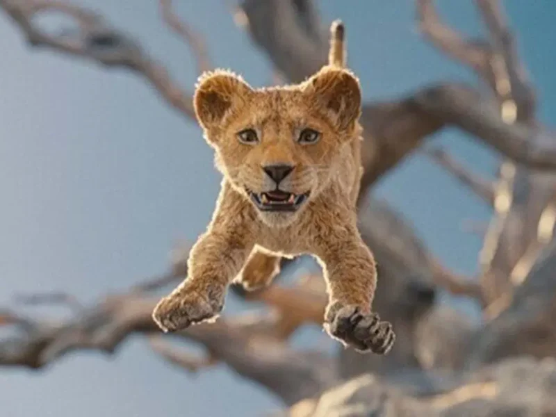 mufasa when will the lion king prequel arrive on disney mufasa el rey leon streaming