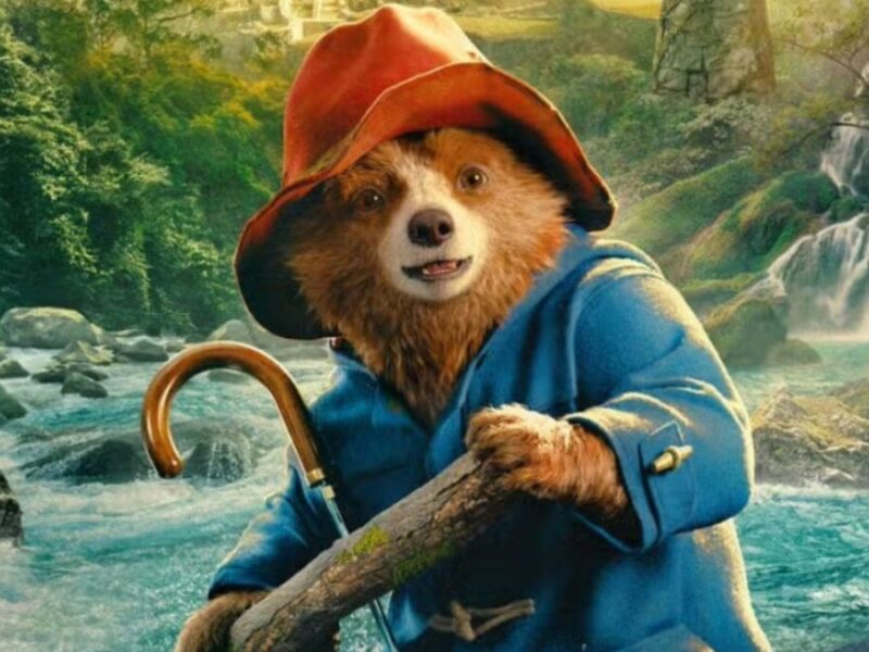 paddington 3 colombia shines as a key filming location for the famous bears new adventure paddington 3 colombia shines as a key filming location for the famous bears new adventure paddington 3