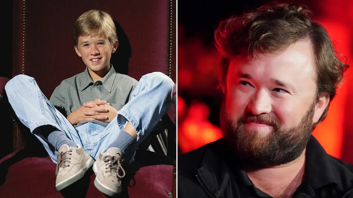 haley joel osments arrest and apology a stars fall from grace haley joel osment