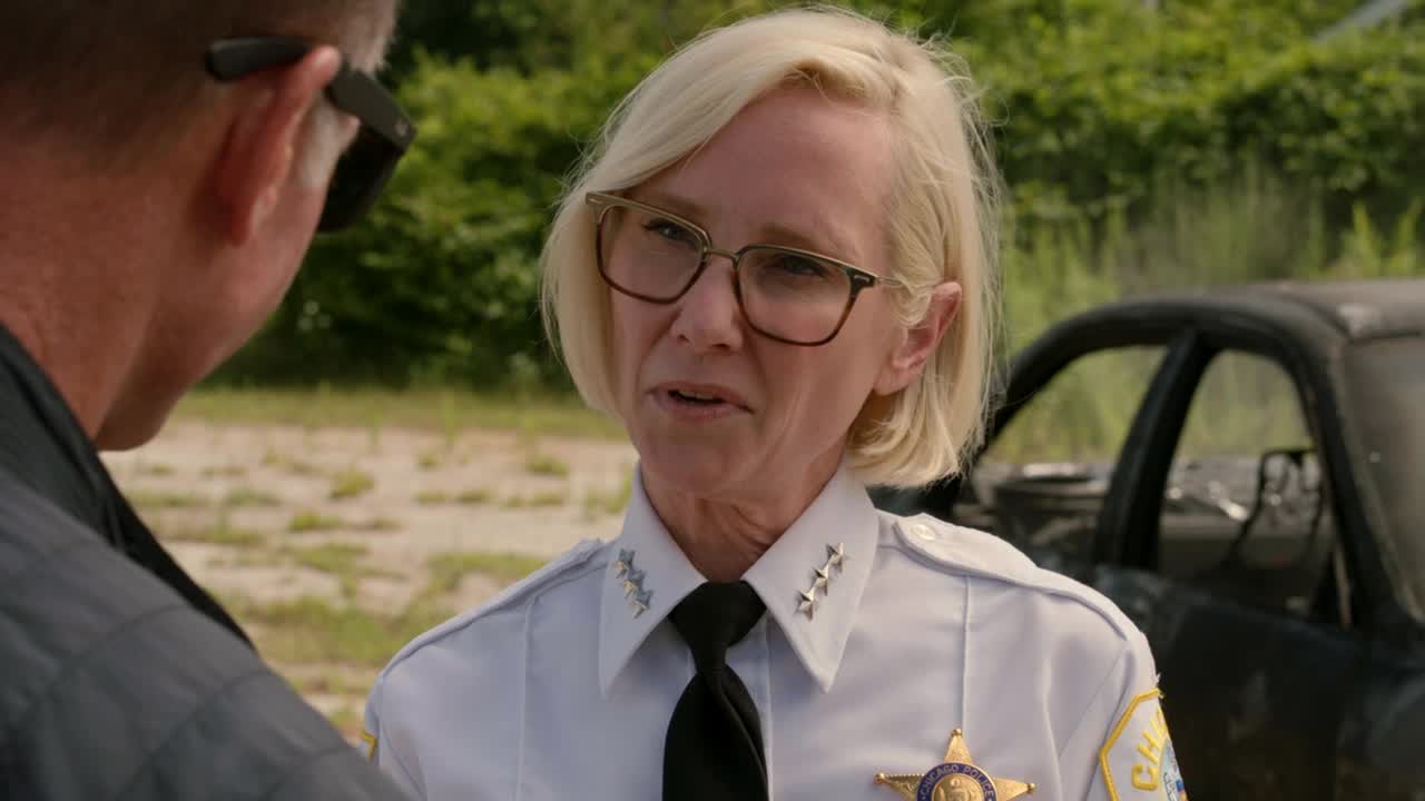 One Chicago Stars We Sadly Lost: Honoring Their Legacy 26 Anne Heche
