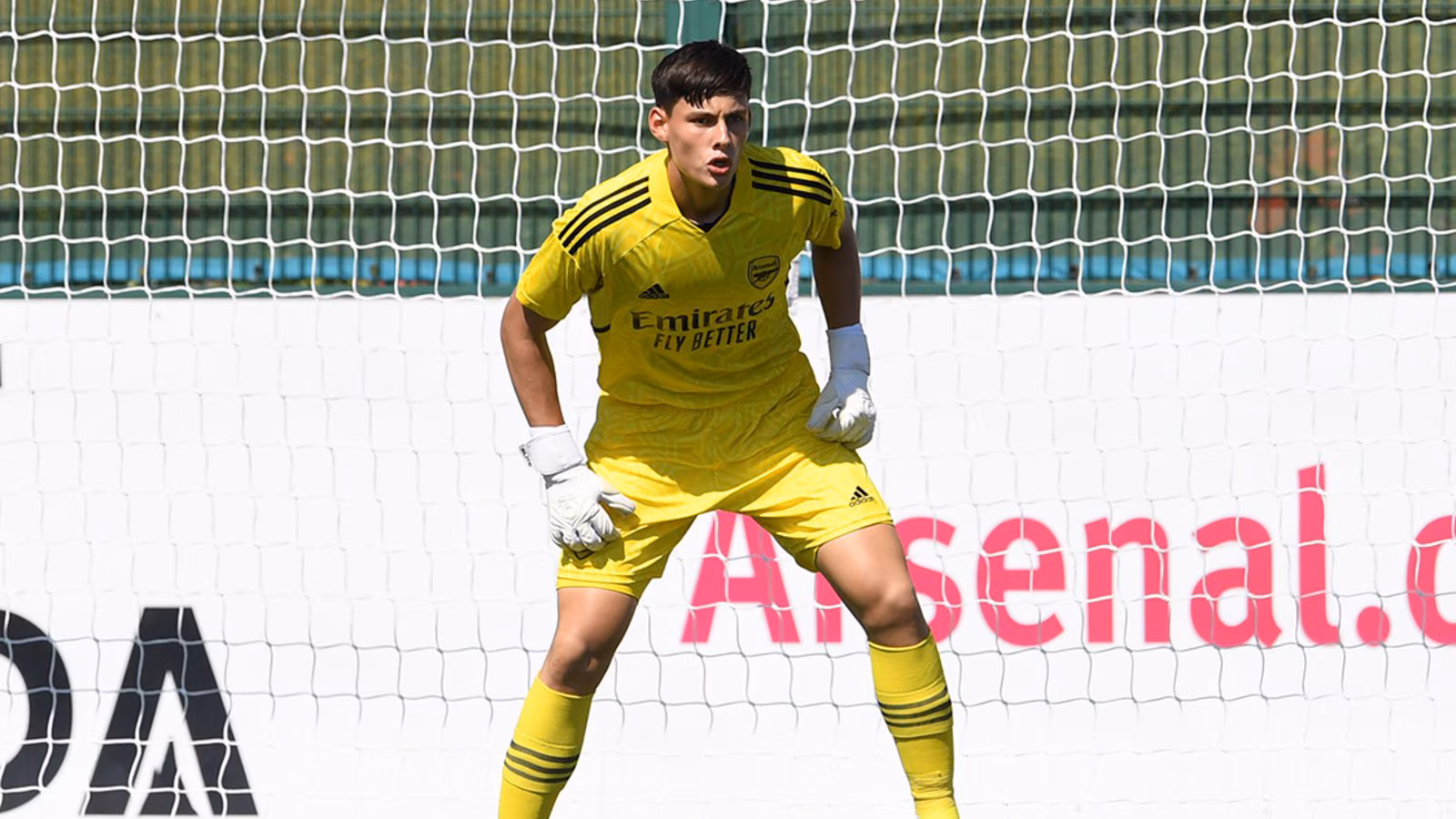 Arsenal Secures Colombian Goalkeeper Alexéi Rojas Through 2026 14 auto draft alexei rojas