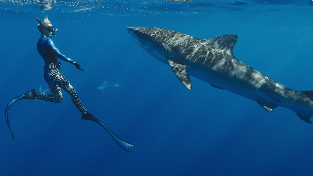 sharks gone viral national geographics hilarious take on oceans apex predators ocean ramsey in shark whispere